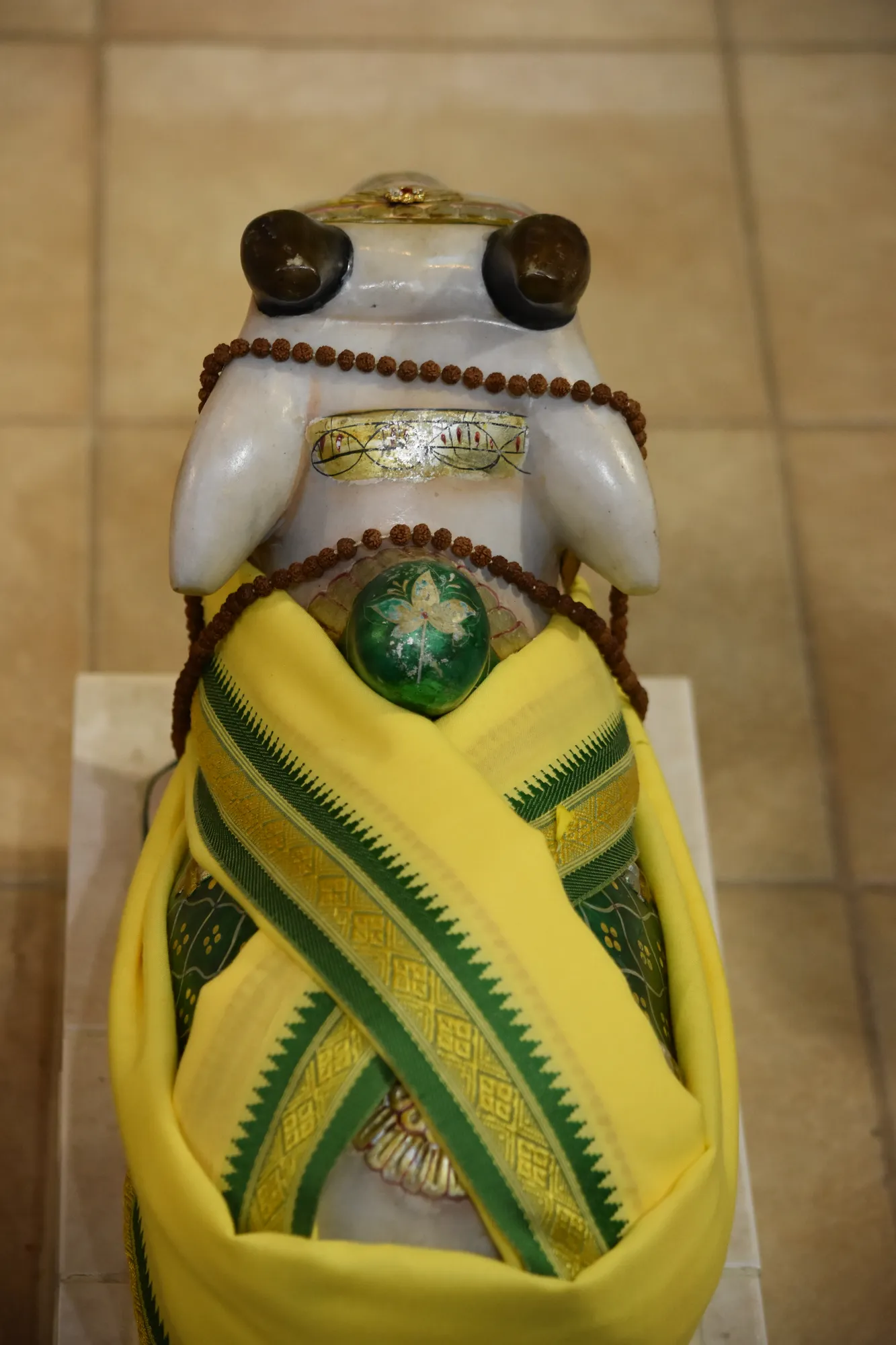 Vasant Panchmi 6